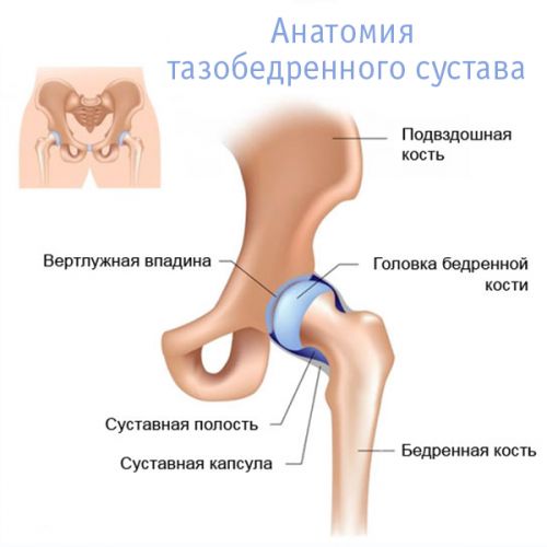 A csípőízület fizioterápiája osteoarthritis