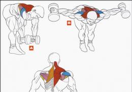 Anatomija ramen - znanstveni pristop k treningu ramen